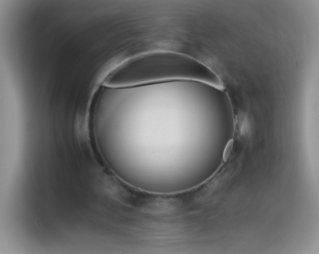 X0000114150292200910081338
