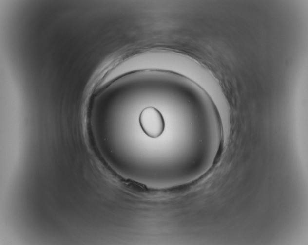 X0000114150293200910081338