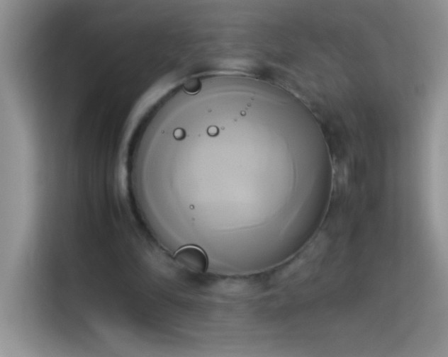 X0000114150294200910081338