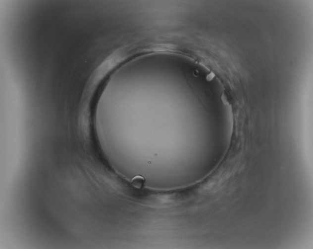 X0000114150295200910081338