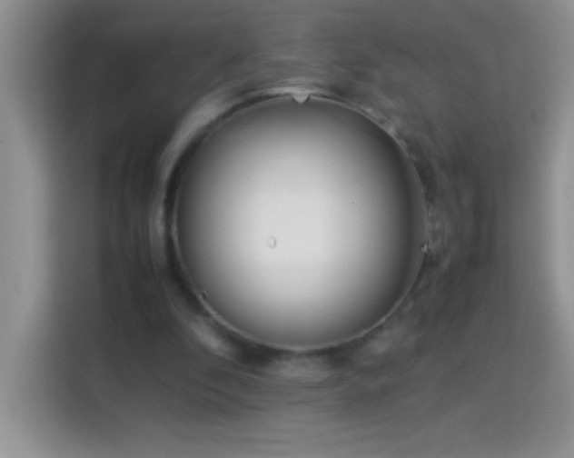 X0000114150296200910081338