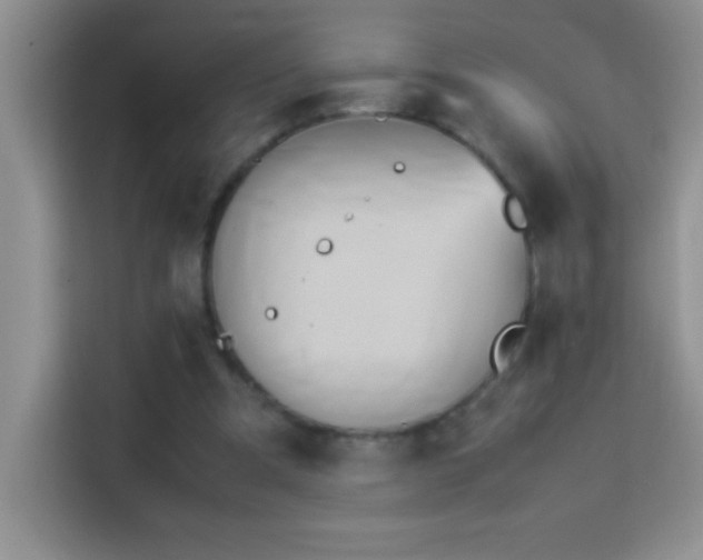 X0000114150297200910081338