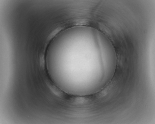X0000114150298200910081338
