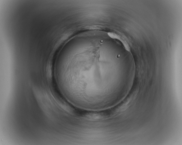 X0000114150299200910081338
