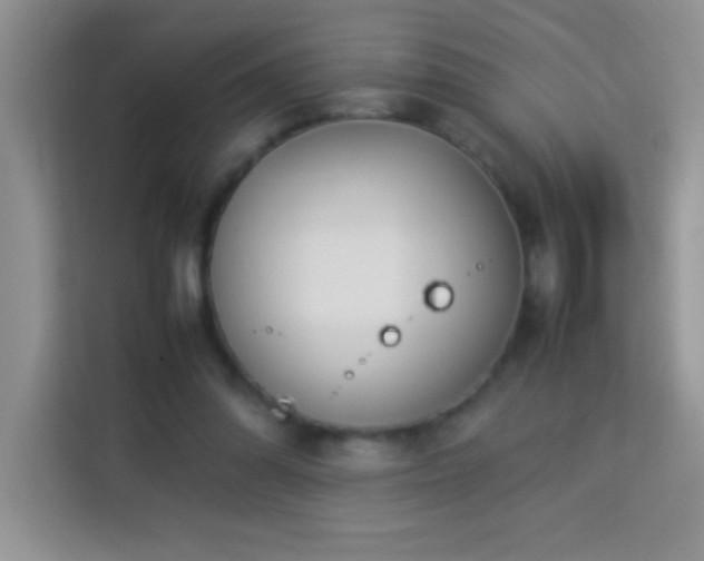 X0000114150302200910081338