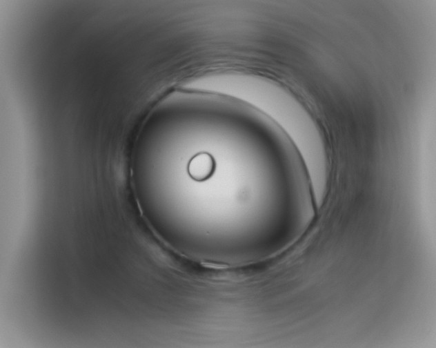 X0000114150305200910081338