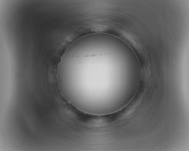 X0000114150307200910081338