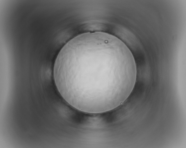 X0000114150309200910081338