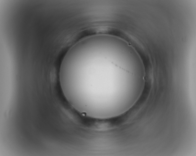 X0000114150311200910081338