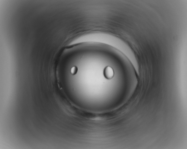 X0000114150312200910081338
