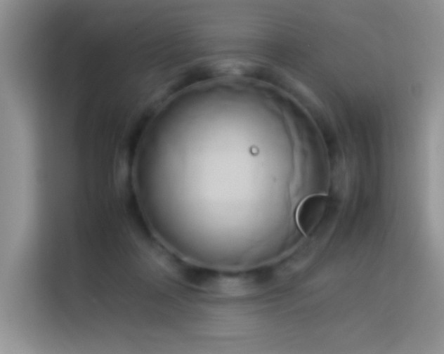 X0000114150314200910081338