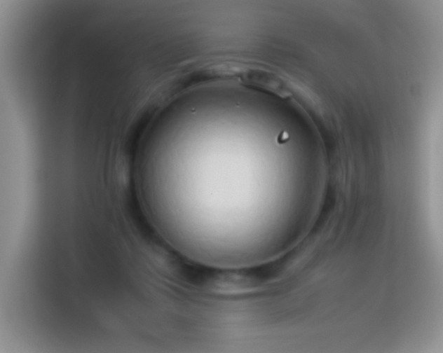 X0000114150315200910081338