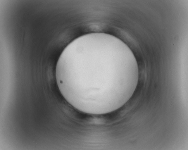 X0000114150317200910081338