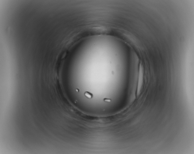 X0000114150320200910081338