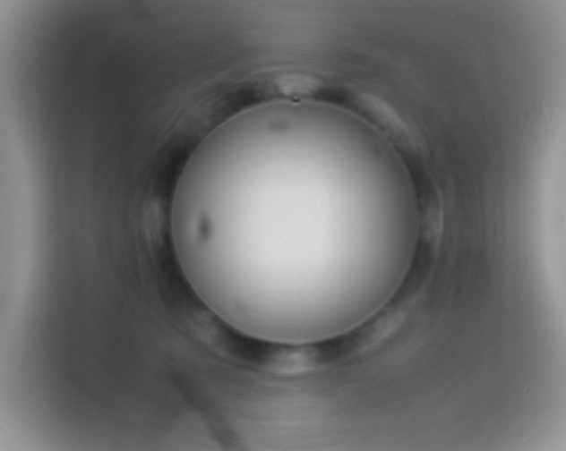 X0000114150321200910081338