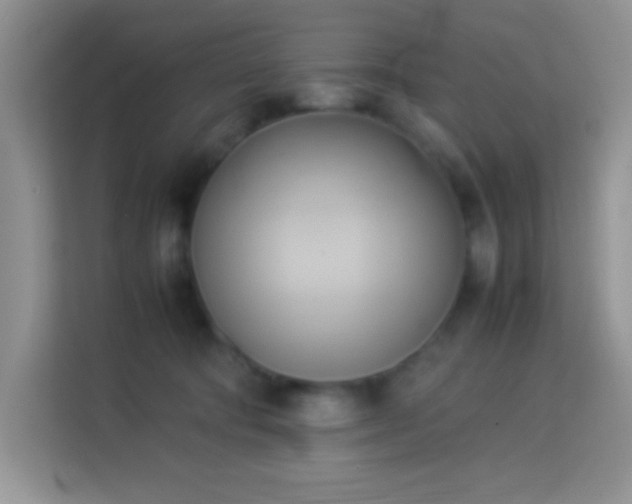 X0000114150322200910081338
