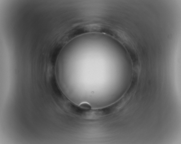 X0000114150323200910081338