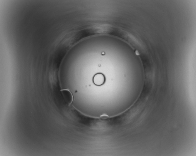 X0000114150325200910081338