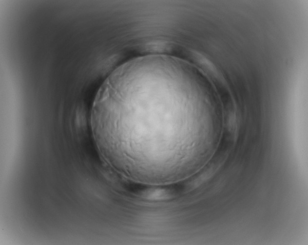 X0000114150326200910081338