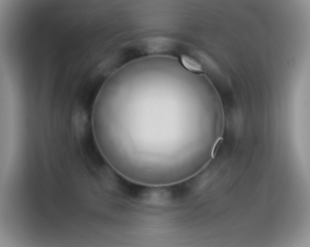 X0000114150327200910081338