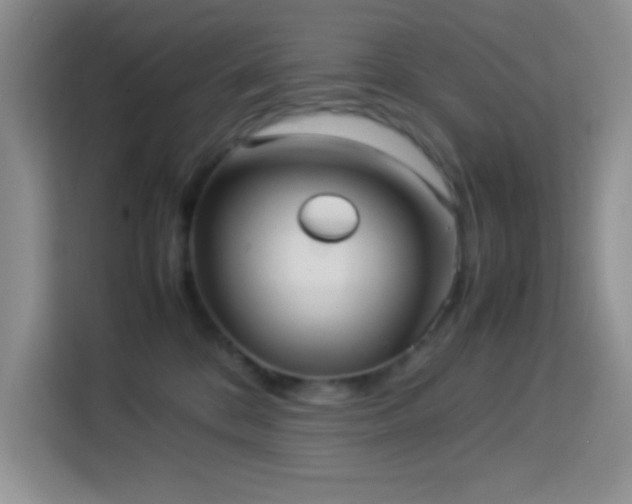 X0000114150328200910081338