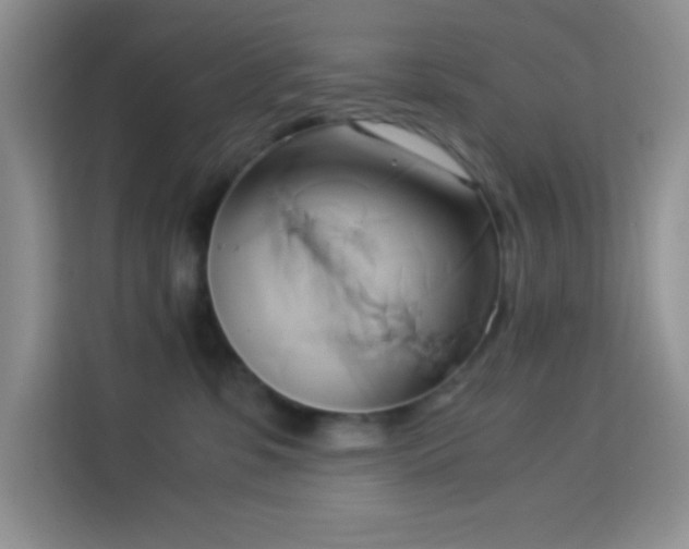 X0000114150331200910081338