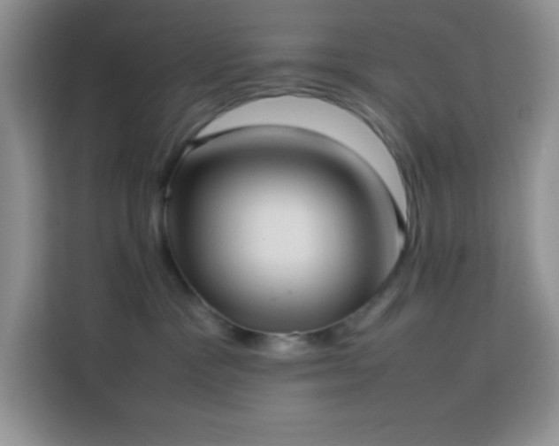 X0000114150333200910081338
