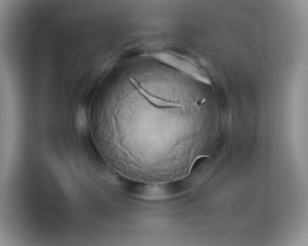 X0000114150335200910081338