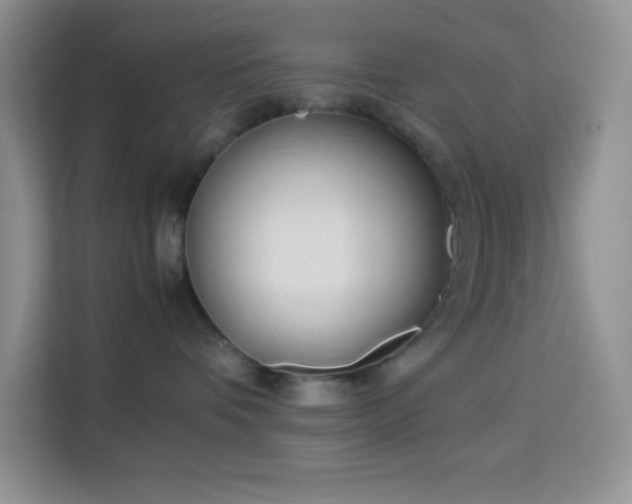 X0000114150336200910081338