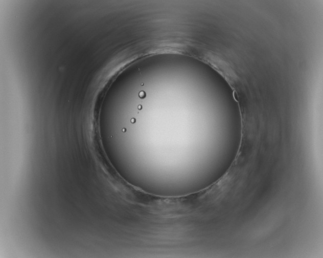 X0000114150338200910081337