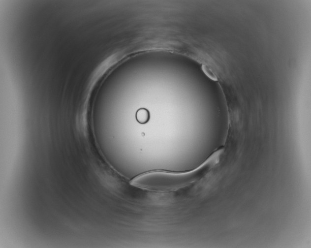 X0000114150340200910081337