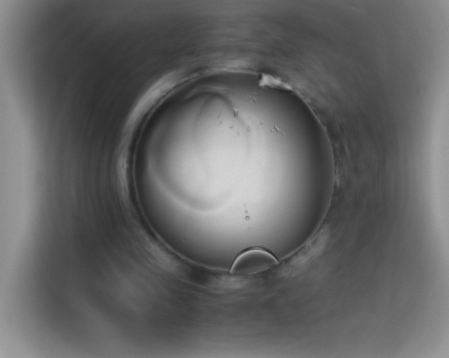 X0000114150341200910081337