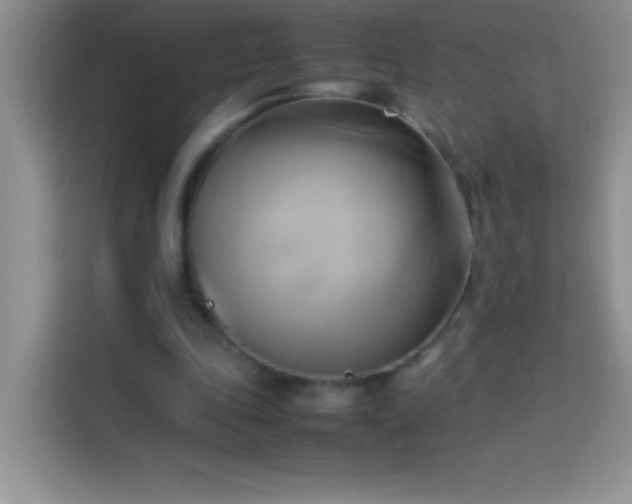 X0000114150343200910081337