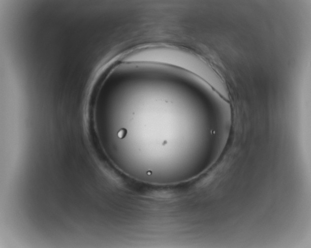 X0000114150344200910081337
