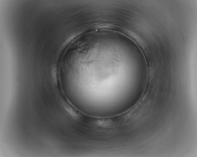 X0000114150345200910081337