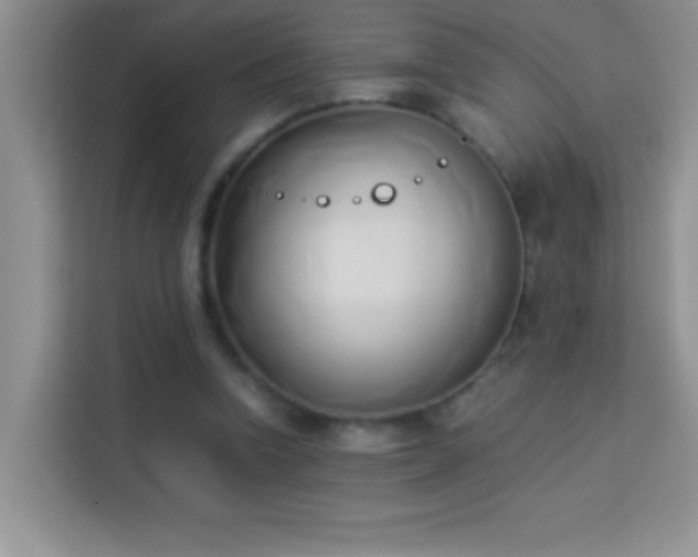 X0000114150346200910081337