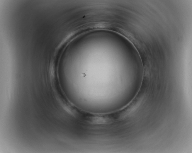X0000114150347200910081337