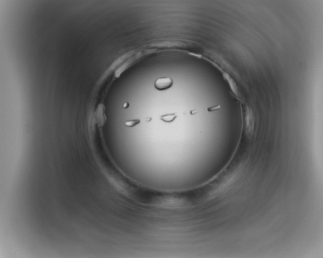 X0000114150348200910081337