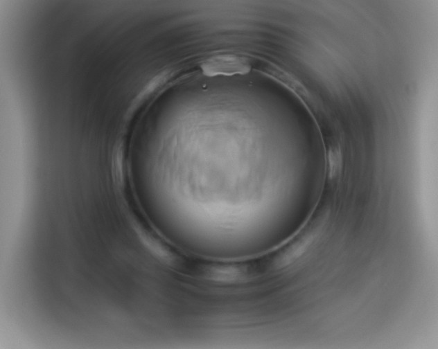X0000114150349200910081337