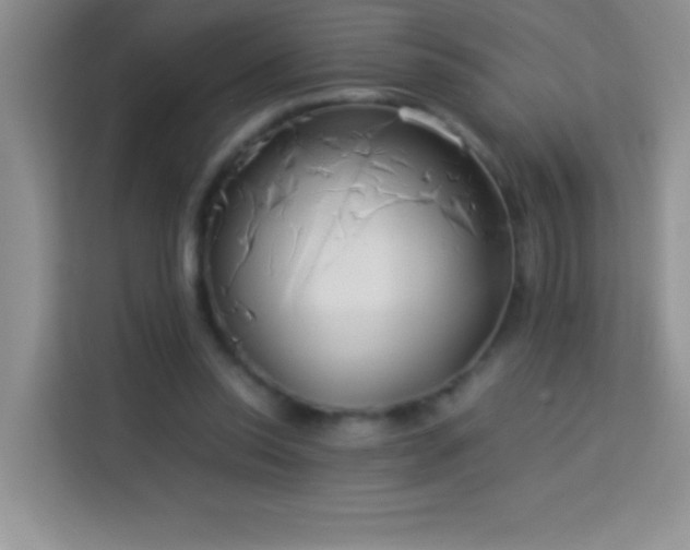 X0000114150350200910081337