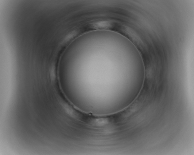 X0000114150353200910081337