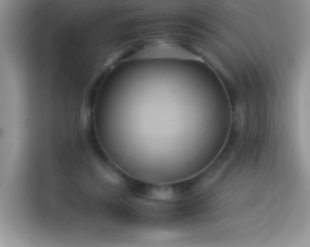 X0000114150355200910081337