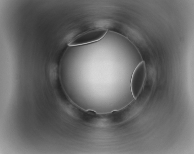X0000114150356200910081337