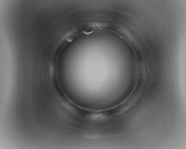 X0000114150357200910081337