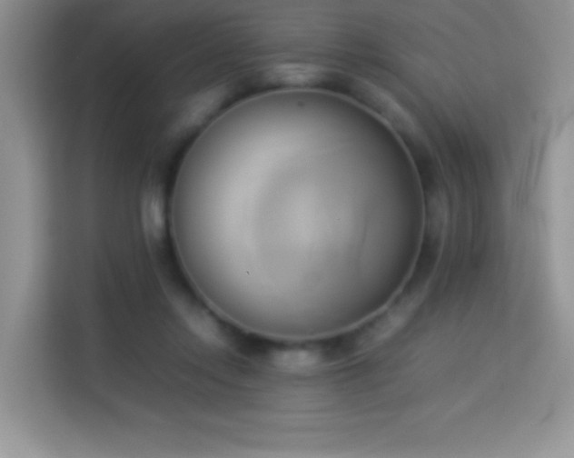 X0000114150358200910081337