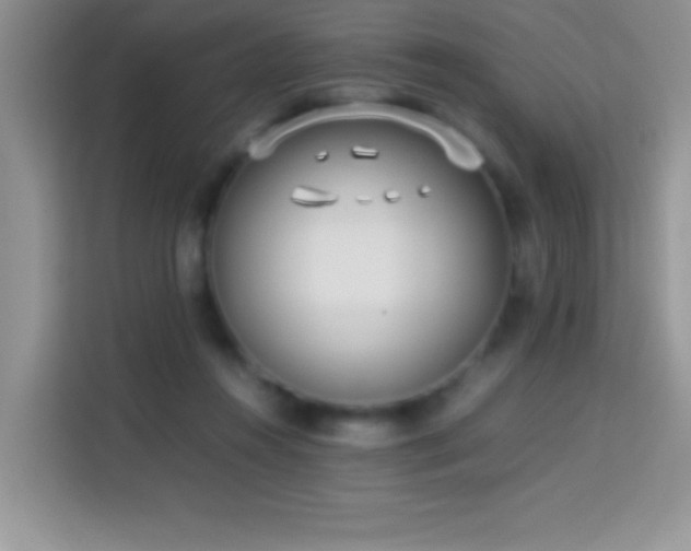 X0000114150360200910081337
