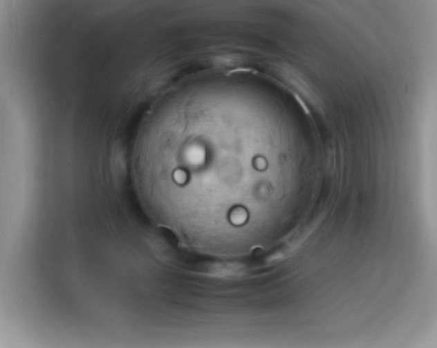 X0000114150363200910081337