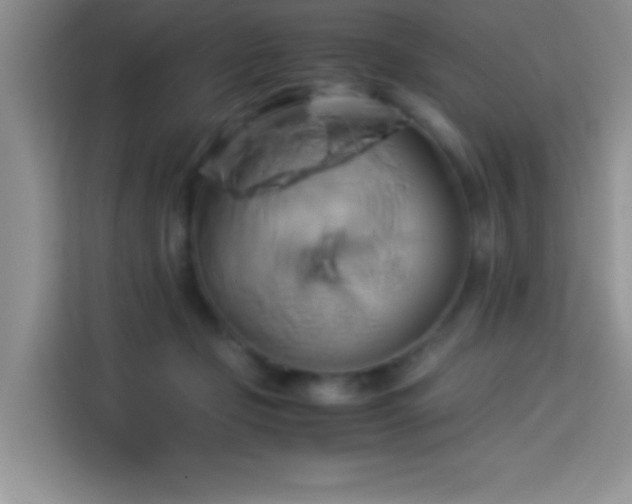 X0000114150365200910081337