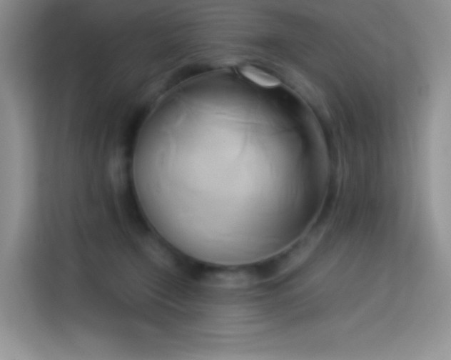 X0000114150366200910081337