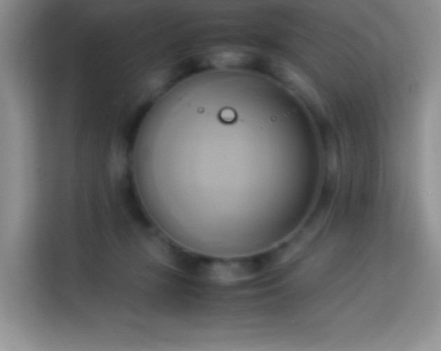 X0000114150367200910081337
